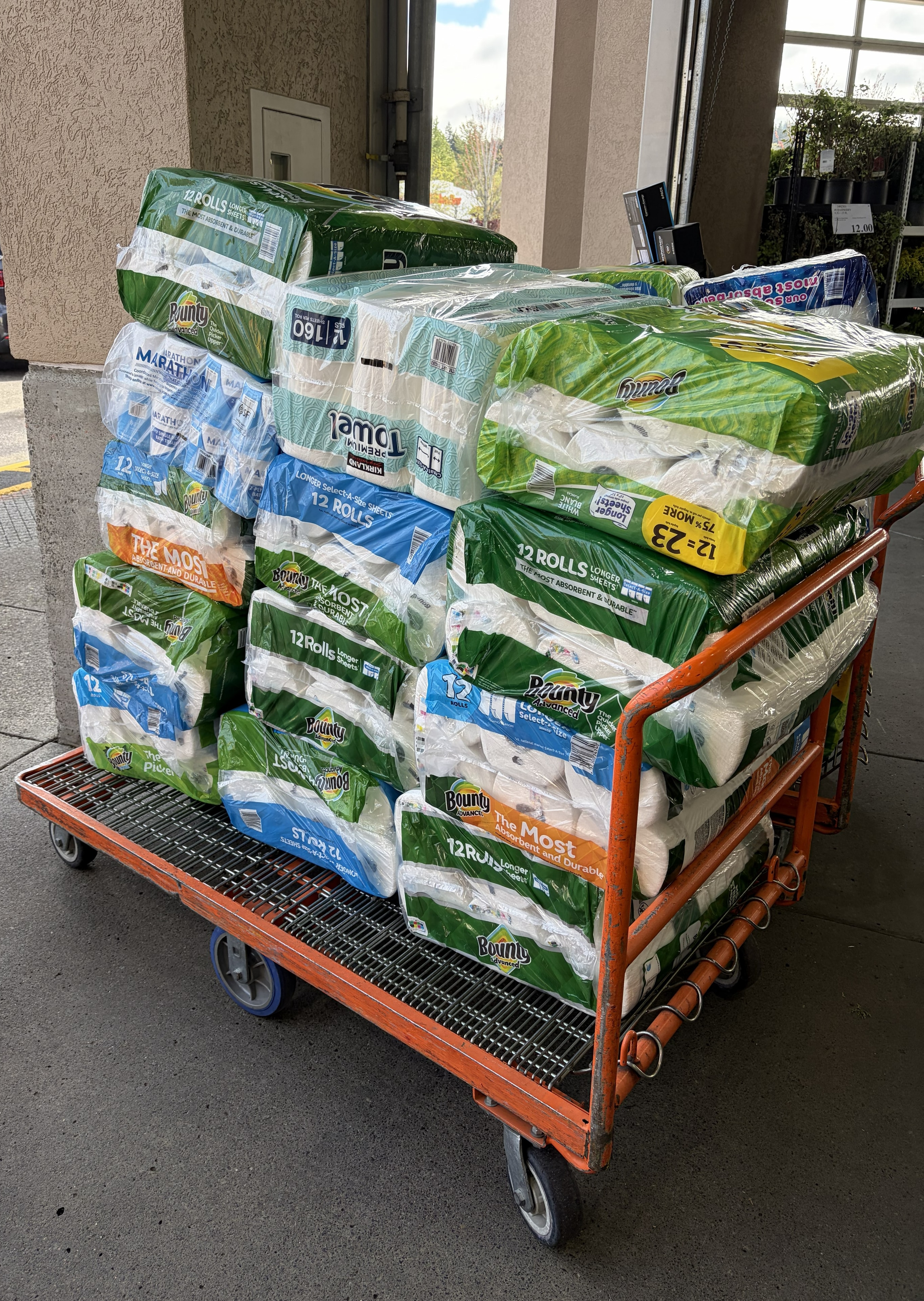 Second Costco stockpile — paper goods and supplies